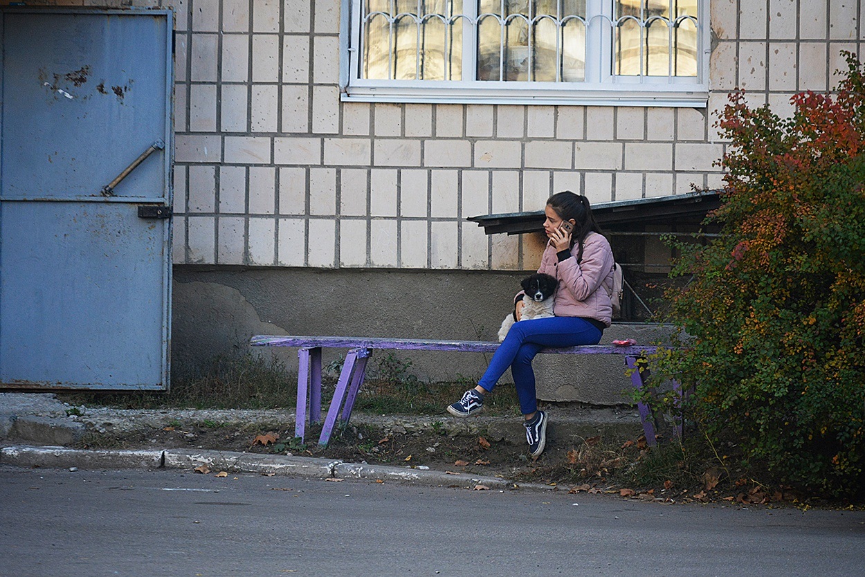 Хазяйка, нас фотографують! 