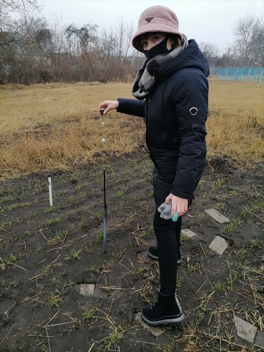 Ось так перевіряють глибину промерзання ґрунту. 