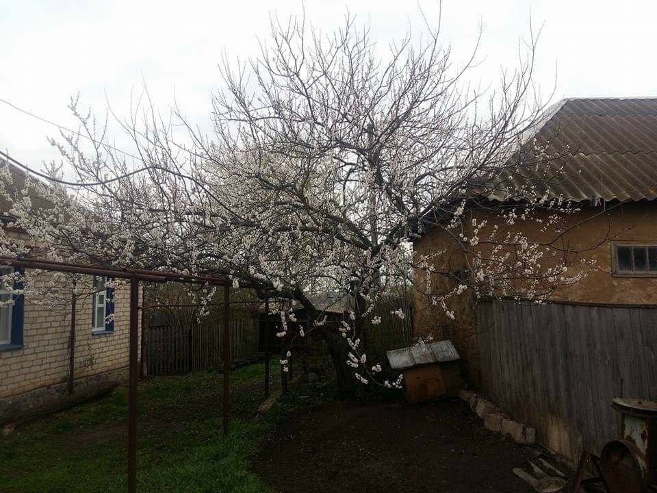 Будинок в селі Кам'яна до початку повномасштабної війни в Україні