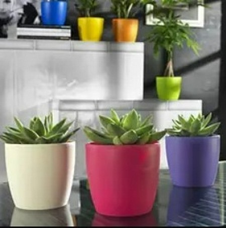https://terem.ua/ua/g82776454-plastikovye-gorshki-dlya