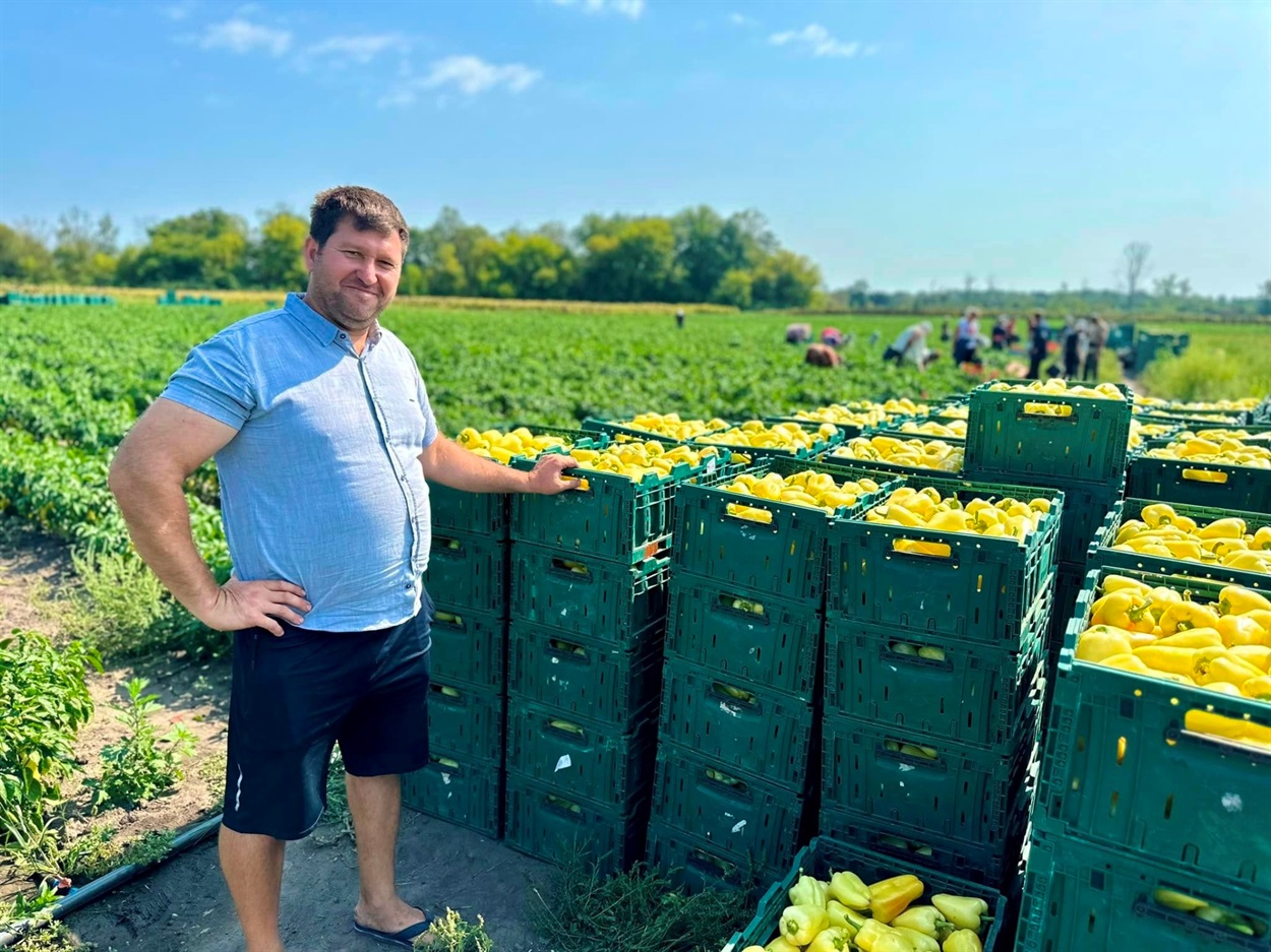 Директор КП "Опішня-Агро" Наріман Ібрагімов біля ящиків з зібраним врожаєм