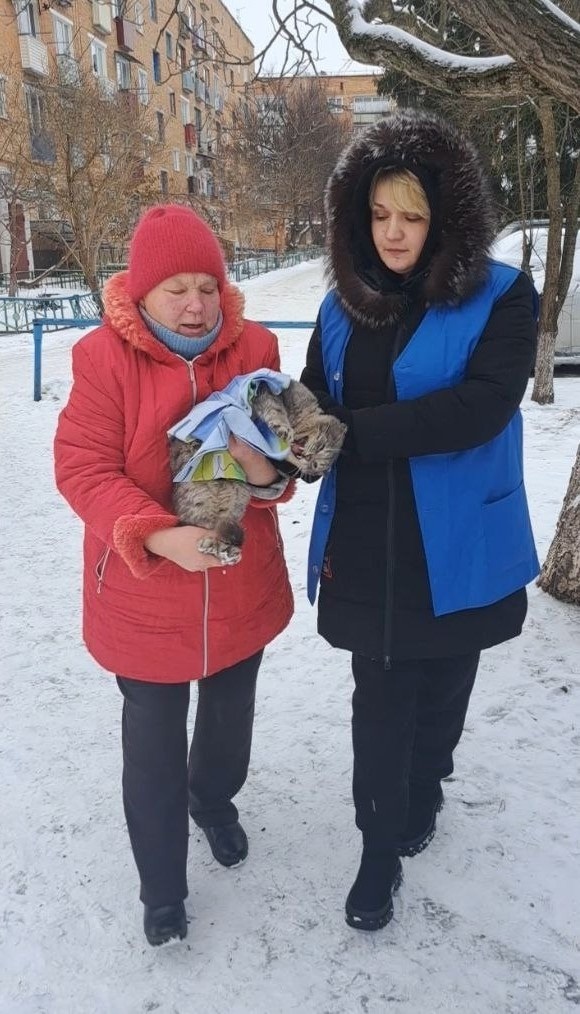 Кіт Буш опирався до останнього. 
