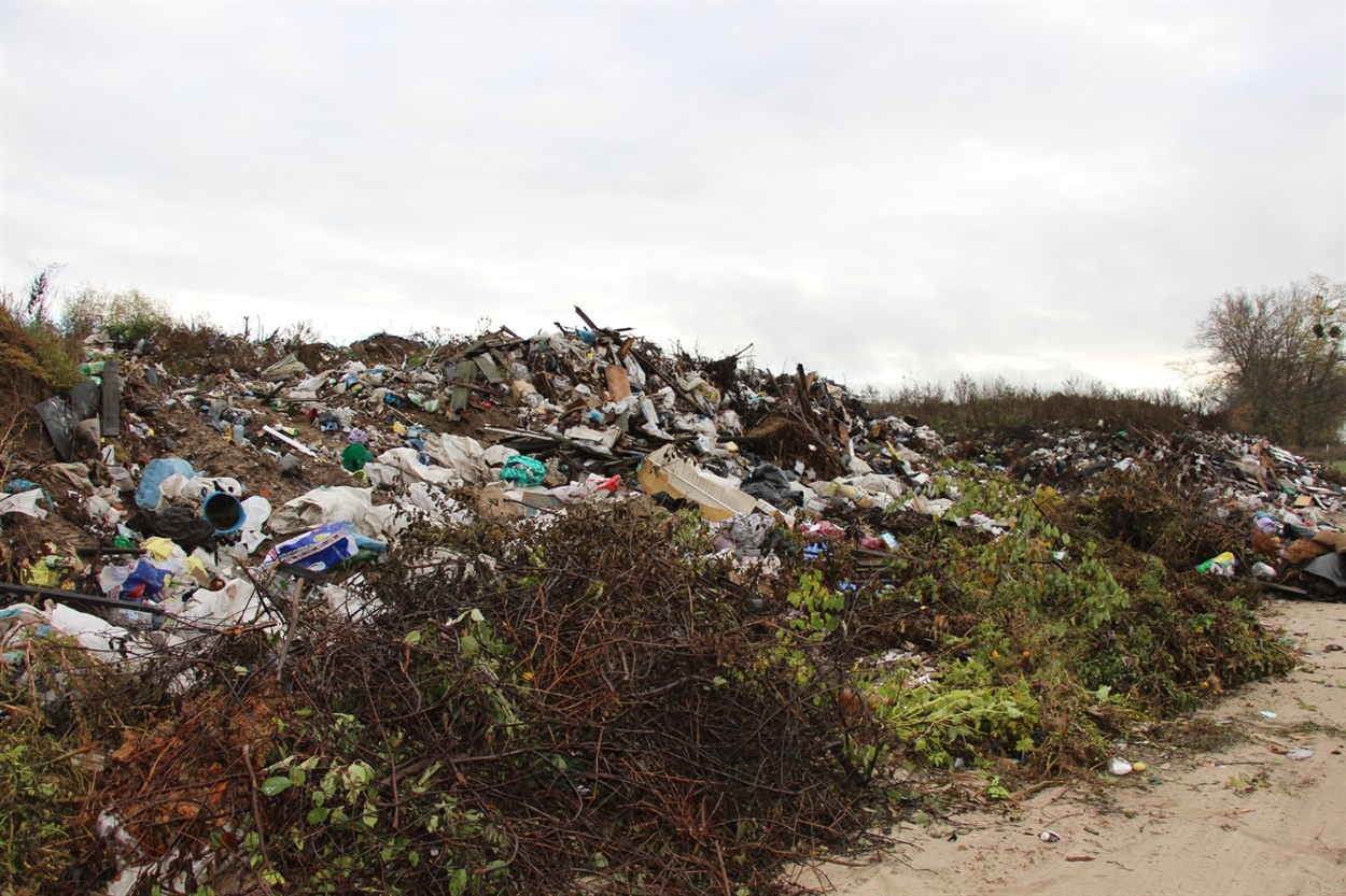 На смітнику можна зустріти все  — від зрізаних гілок до старого дивану. 
