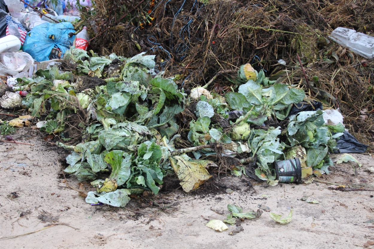 А ось це закомпостувати на компостній ямі та отримати добриво для підживлення рослин. 