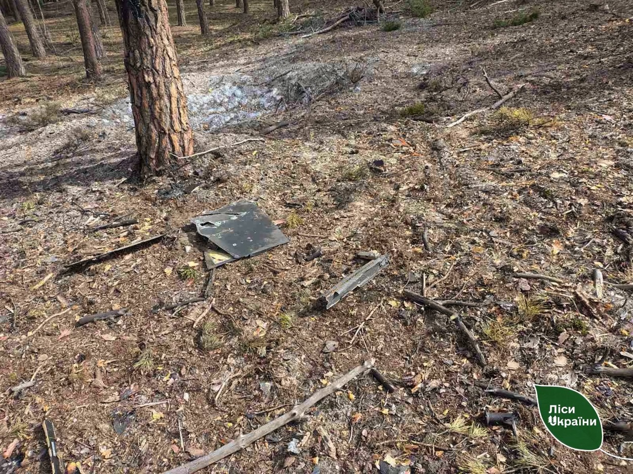 У Гадячі загасили лісову пожежу після падіння уламків дрона