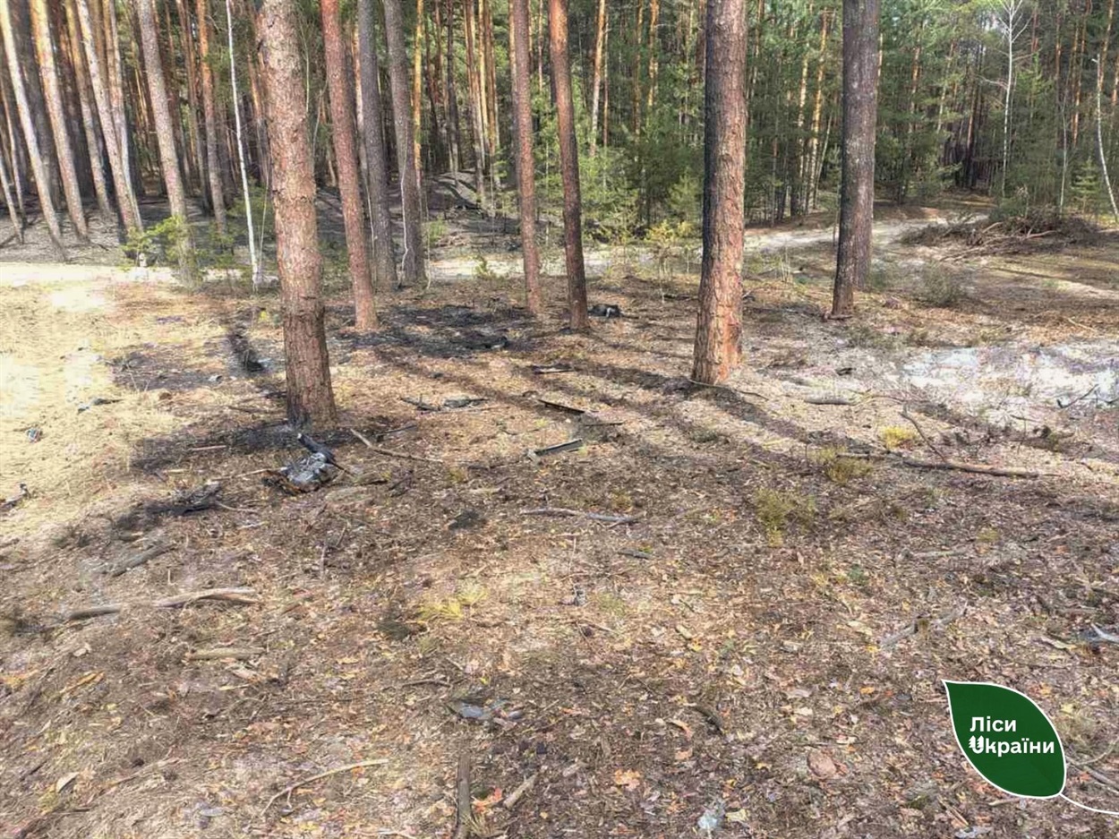 У Гадячі загасили лісову пожежу після падіння уламків дрона